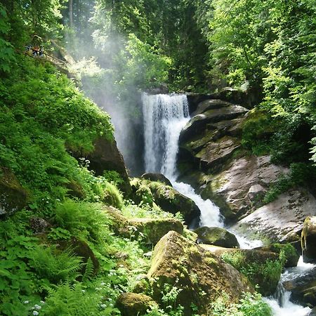 Rita - Atemberaubenden Wasserfaelle Triberg im Schwarzwald Ngoại thất bức ảnh