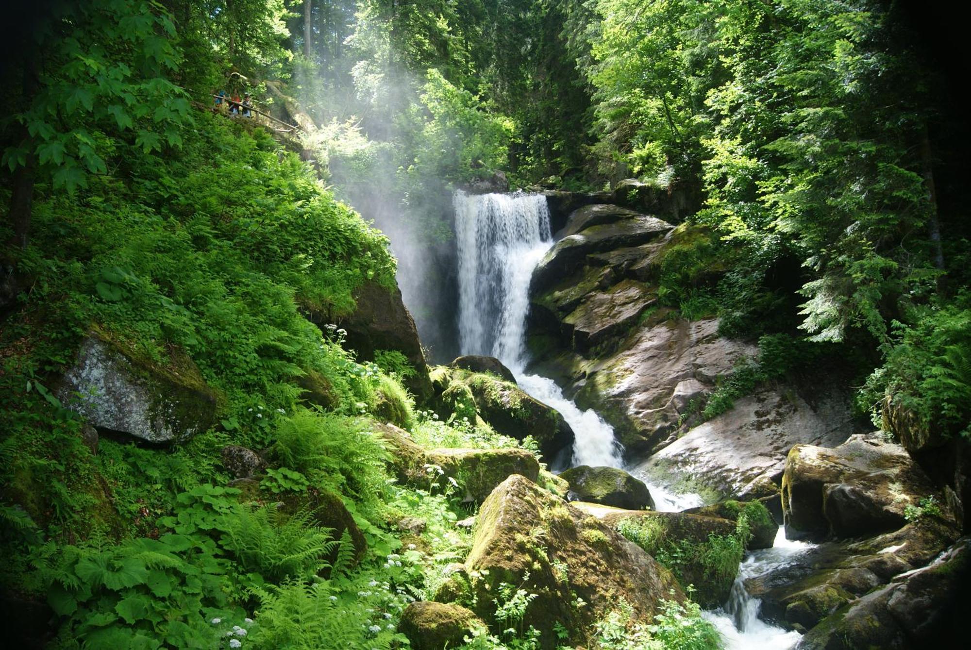 Rita - Atemberaubenden Wasserfaelle Triberg im Schwarzwald Ngoại thất bức ảnh